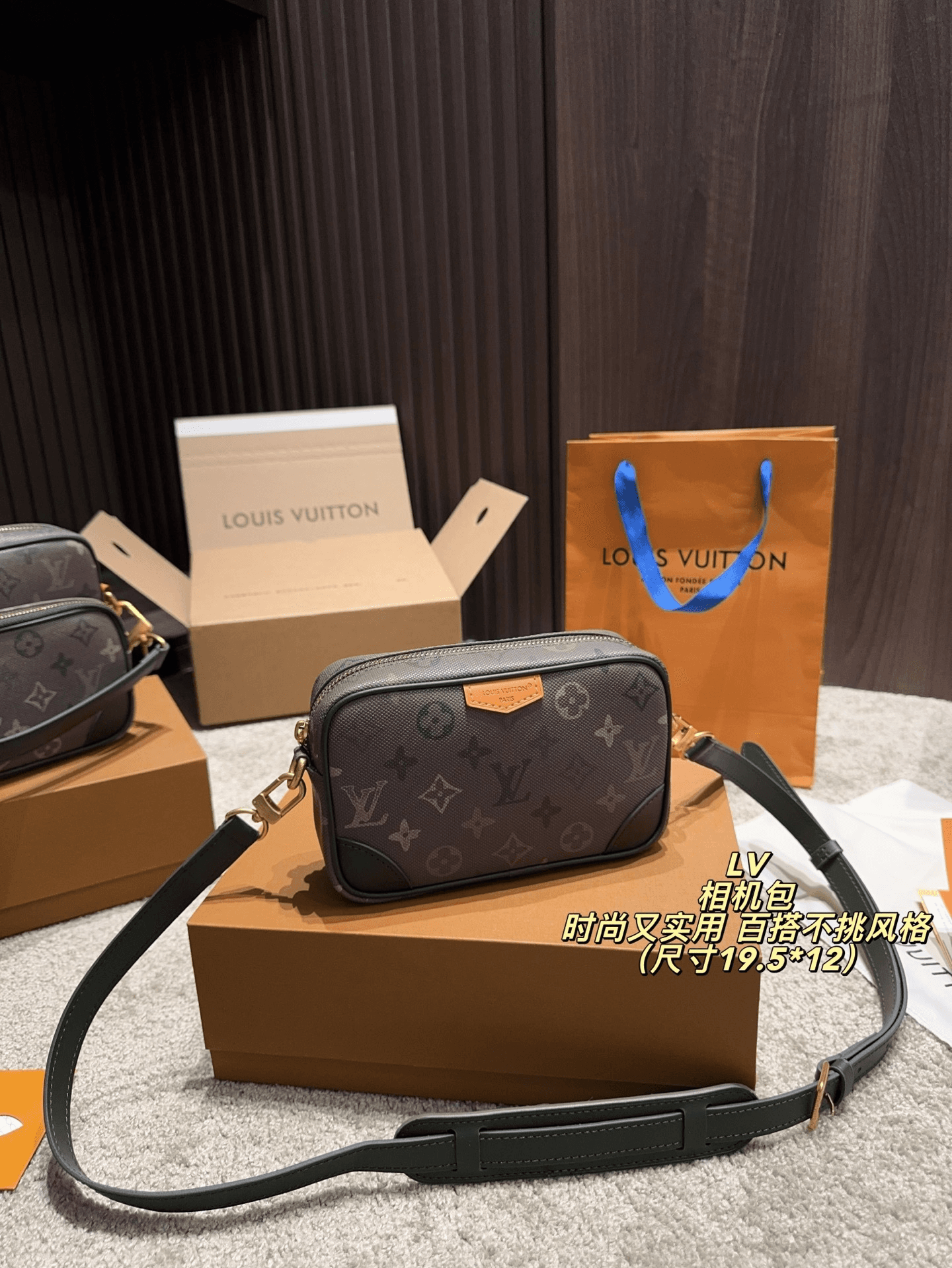 Louis Vuitton Sac Caméra Monogram
